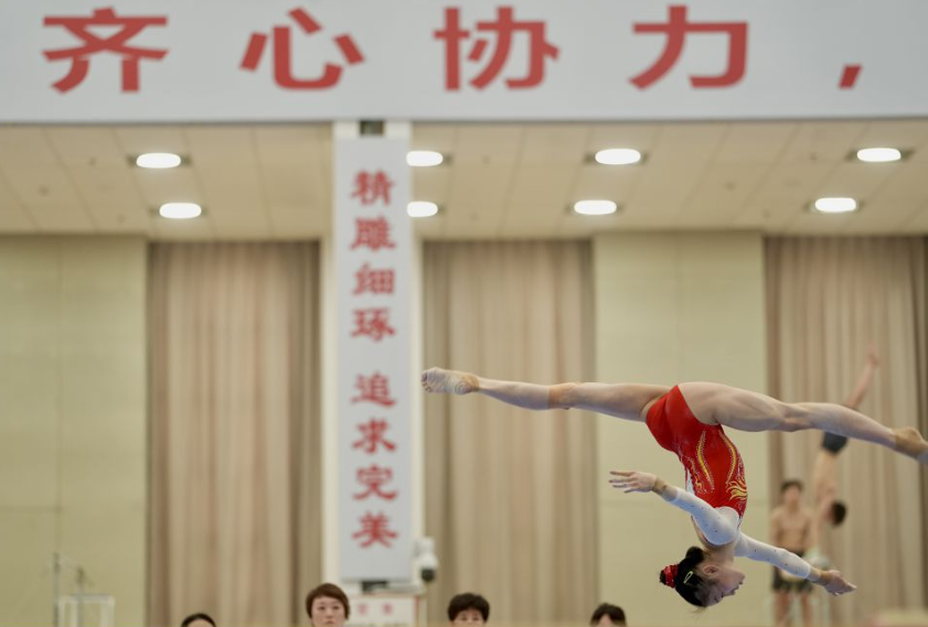 如何在凤凰彩票平台上建立人际关系